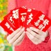 Coopay 36 Pieces Chinese New Year Red Envelopes Hong Bao 2019 Year of The Pig Lucky Money Envelope Festival Money Packets, 6 Designs (Red-3)